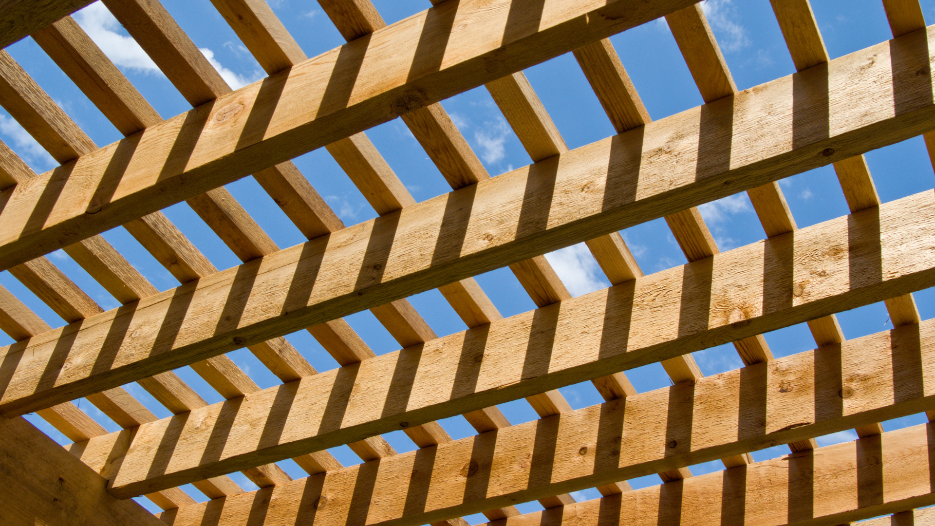 toiture-pergola-claire-voie-bois-vosges-88